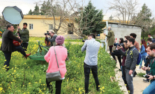 Tekatasıkoyu